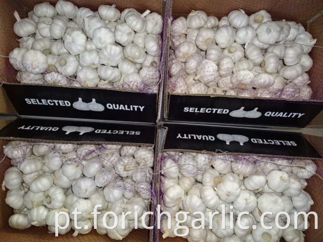 Crop 2019 Fresh Pure Garlic